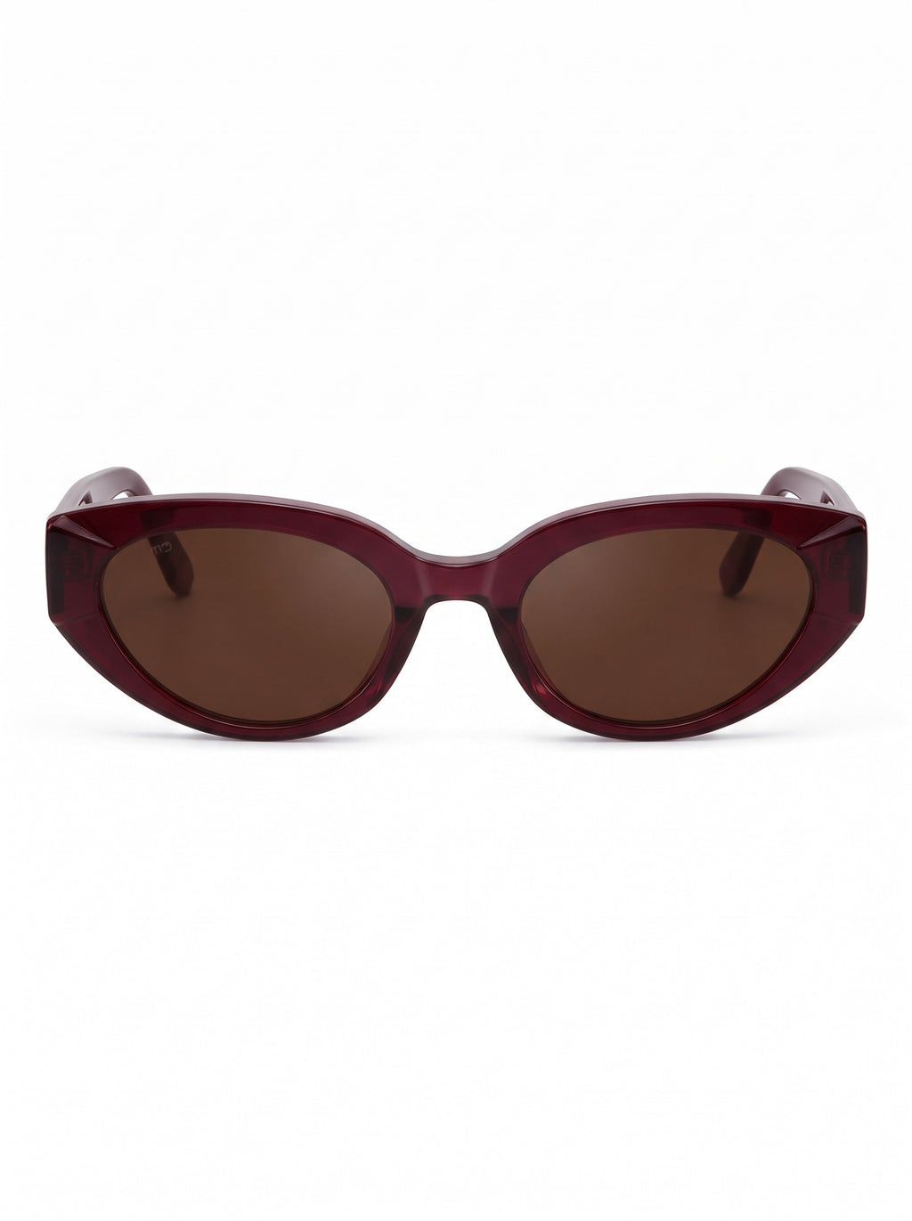 The Paris Sunglasses