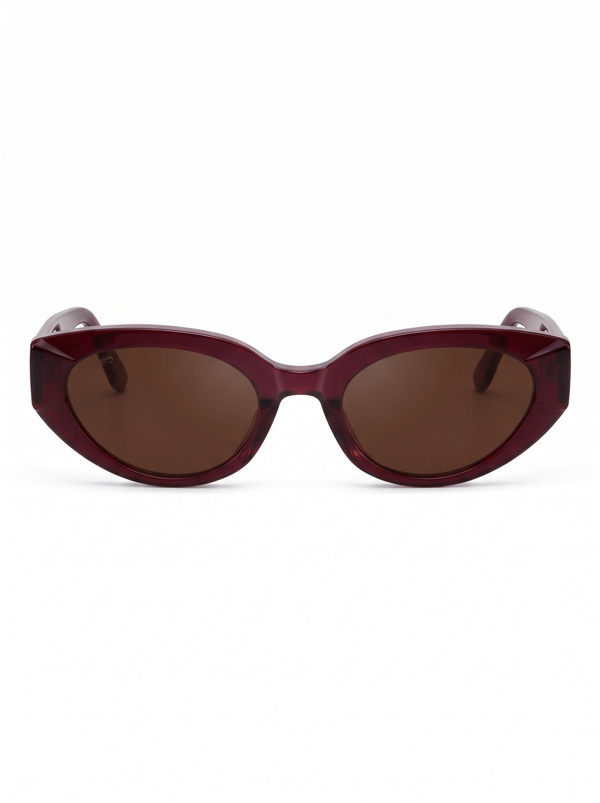The Paris Sunglasses